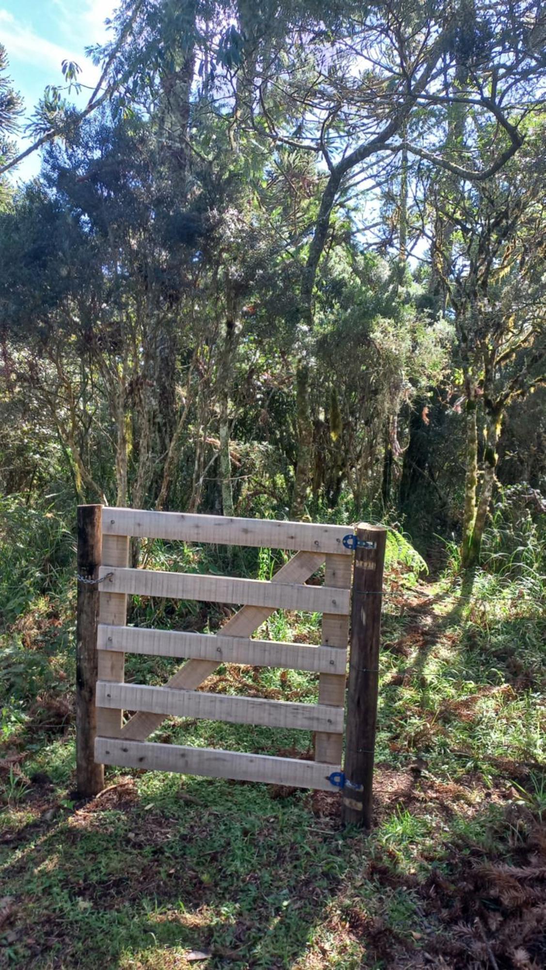 Cabana Na Floresta Rincao Do Fortaleza Cambará Exterior foto