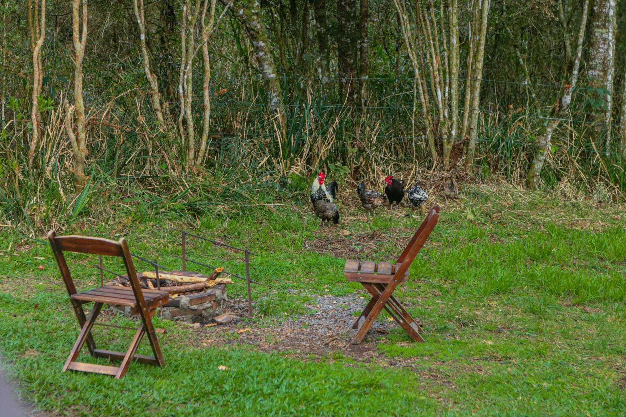 Cabana Na Floresta Rincao Do Fortaleza Cambará Exterior foto